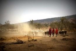 Volunteer Tanzania Volunteer Tanzania