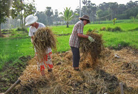 Agriculture & Jardin communautaire Agriculture & Jardin communautaire