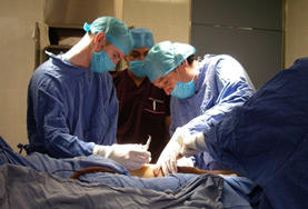 Médecine & soins de la santé Médecine & soins de la santé