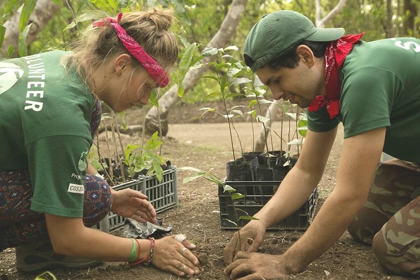 Un volontaire en écovolontariat aide à planter un arbre au parc national Barra Honda, au Costa Rica. Un volontaire en écovolontariat aide à planter un arbre au parc national Barra Honda, au Costa Rica.