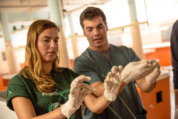 Un volontaire en médecine de Projects Abroad effectue une suture lors d’un atelier médical en Argentine. Un volontaire en médecine de Projects Abroad effectue une suture lors d’un atelier médical en Argentine.