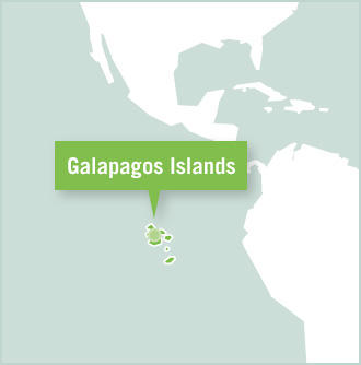 Map of the volunteer destination in the Galapagos Island of Ecuador, South America Map of the volunteer destination in the Galapagos Island of Ecuador, South America
