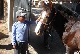 Care A child interacts with a horse at the Equine Therapy volunteer Project in Bolivia.