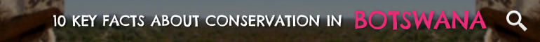Click here to learn 10 Key Facts about Conservation in Botswana Click here to learn 10 Key Facts about Conservation in Botswana