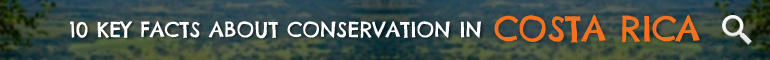 Click here to learn 10 Key Facts about Conservation in Costa Rica Click here to learn 10 Key Facts about Conservation in Costa Rica