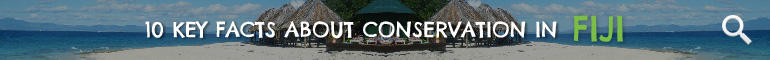 Click here to learn 10 Key Facts about Conservation in Fiji Click here to learn 10 Key Facts about Conservation in Fiji