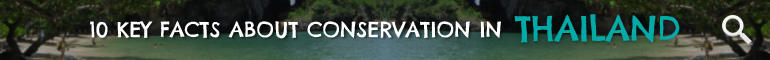 Click here to learn 10 Key Facts about Conservation in Thailand Click here to learn 10 Key Facts about Conservation in Thailand