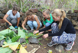 Ecuador Ecuador