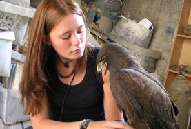Animal Care