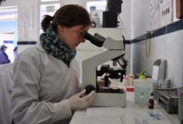 Peru A professional medical doctor works in a laboratory during her volunteer project in Peru.